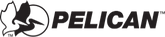 pelicanhub.it.com